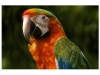 illustration_15